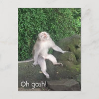 Oh gosh monkey