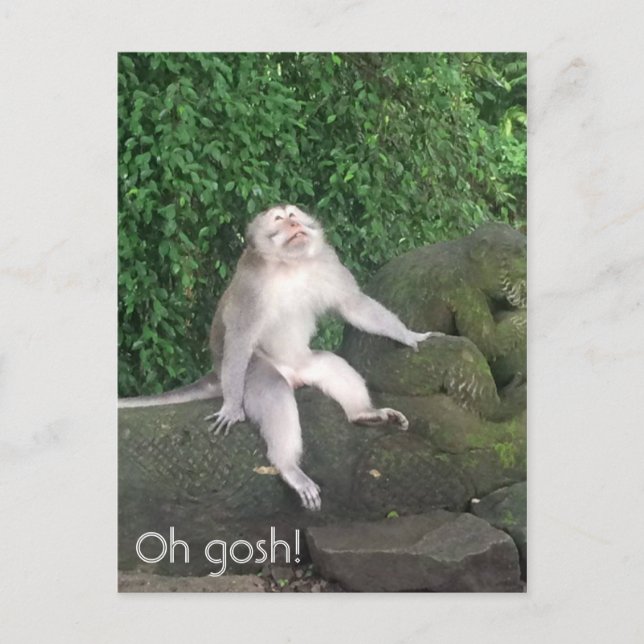 Oh gosh monkey postcard (Front)