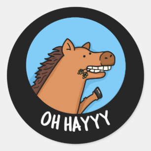 Oh Hayyyy Funny Horse Pun Dark BG Classic Round Sticker