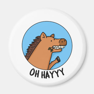 Oh Hayyyy Funny Horse Pun  Magnet