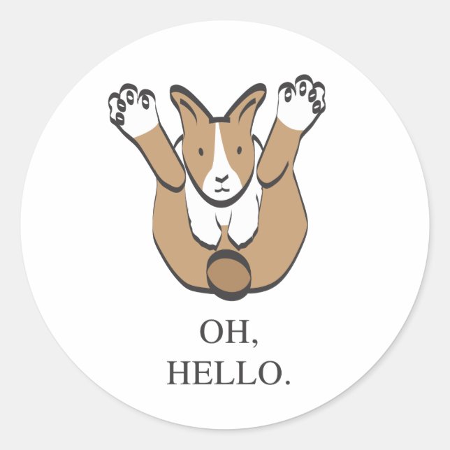 OH, HELLO. CLASSIC ROUND STICKER (Front)
