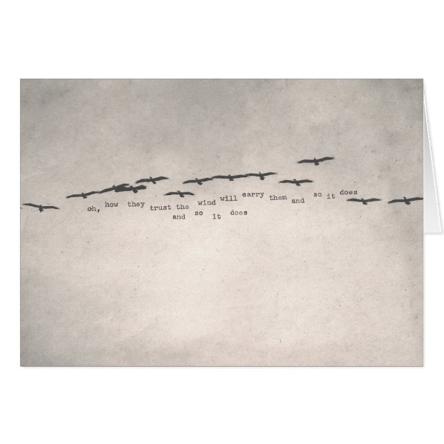 "oh, how they trust" (Front Horizontal)