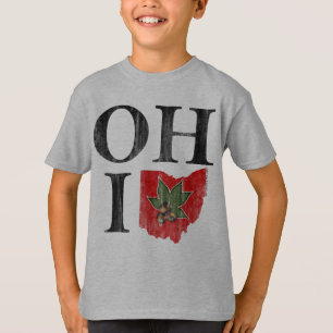 OH IO Typographic Ohio Vintage Red Buckeye Nut T-Shirt