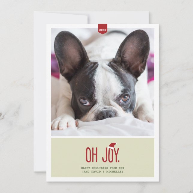 Oh Joy | Funny Holiday Photo Card (Front)