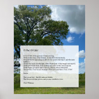 Oh Me! Oh Life! Walt Whitman Poem, Tree & Blue Sky