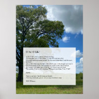 Oh Me! Oh Life! Walt Whitman Poem, Tree & Blue Sky