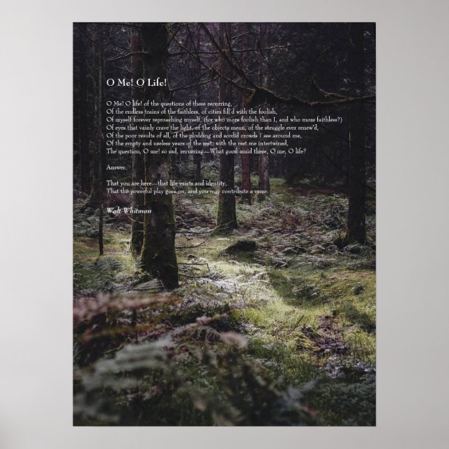 Oh Me! Oh Life! Walt Whitman Poem Wooded Path 3 Poster (Front)