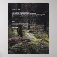 Oh Me! Oh Life! Walt Whitman Poem Wooded Path 3