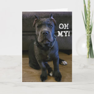 OH MY...YOU ARE TURNING "60" BIRTHDAY CARD