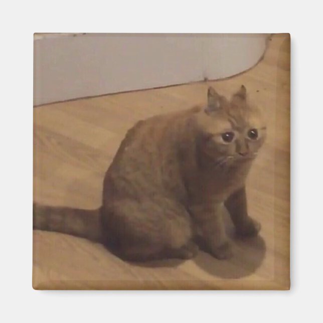 Oh no cringe cat meme magnet (Front)
