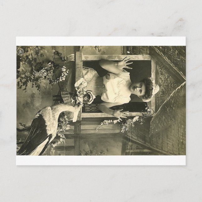 Oh no! The infernal stork! Postcard (Front)