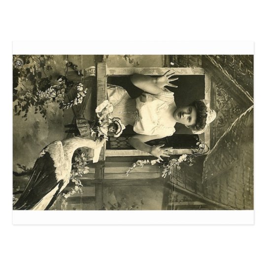 Oh no! The infernal stork! Postcard