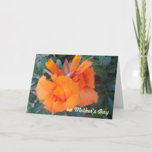OH, Orange Mother's Day Card
