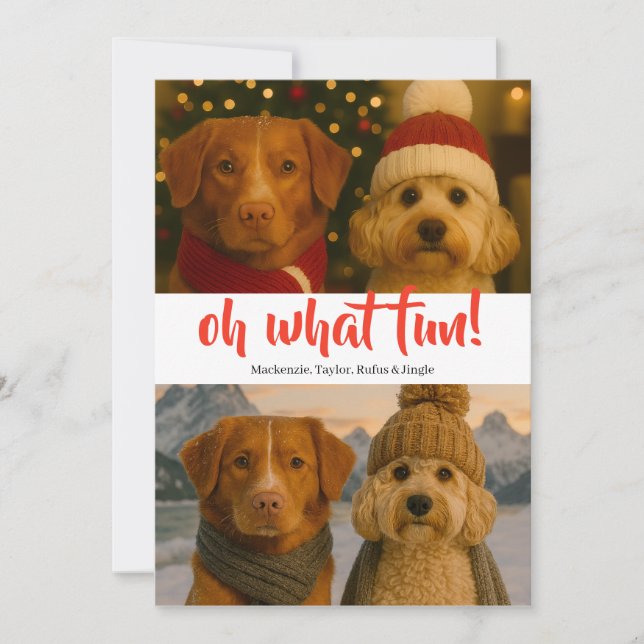 Oh What Fun Photo Christmas Personalised Holiday Card (Front)