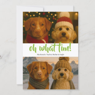 Oh What Fun Photo Christmas Personalized Holiday Card
