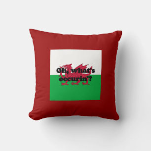 'Oh, what's occurin'?' Cushion