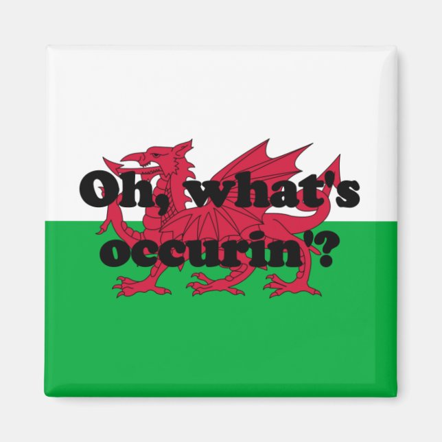 'Oh, what's occurin'?' Magnet (Front)