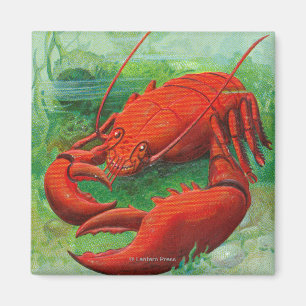 Oh You Lobster Scene Magnet