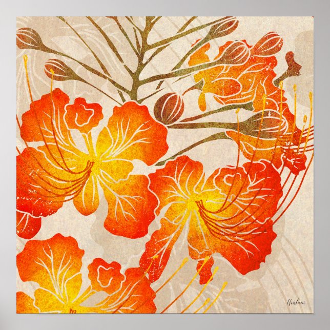 Ohai Alii 2  Poster (Front)