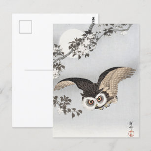 Ohara Koson Scops Owl Cherry Blossoms & Moon Postcard