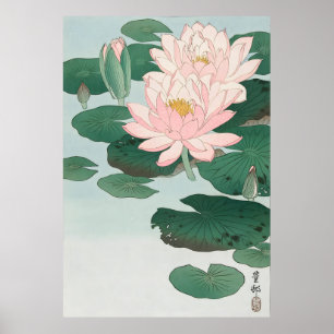 Ohara Koson Water Lily (1920 - 1930) Poster