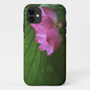 Ohga Lotus, Sankei-en Garden, Yokohama, Japan iPhone 11 Case