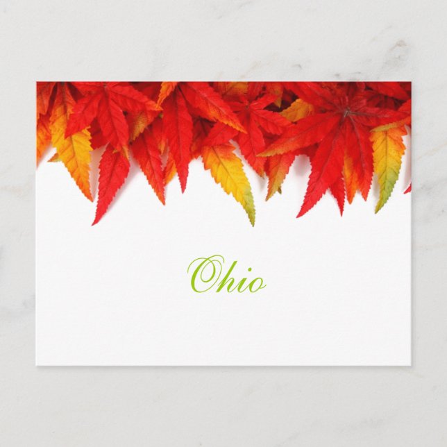 Ohio Autumn Leaves Postcard (Front)