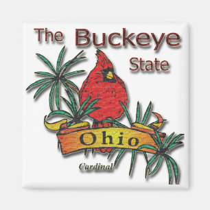 Ohio Buckeye Cardinal Magnet