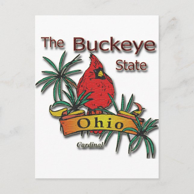 Ohio Buckeye Cardinal Postcard (Front)