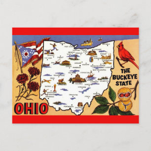 Ohio Buckeye State Postcard