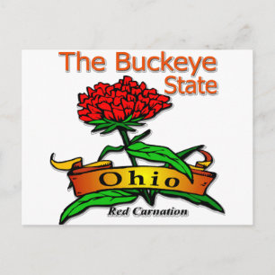 Ohio Buckeye State Red Carnation Postcard
