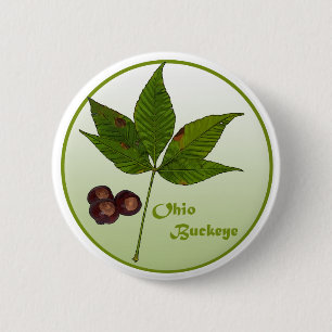 Ohio Buckeye Tree 6 Cm Round Badge