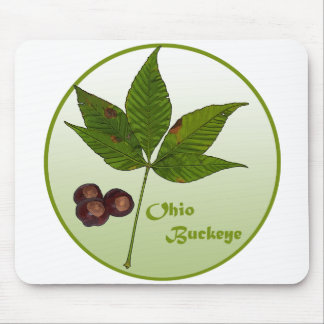 Ohio Buckeye Tree Mouse Pad