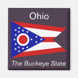 Ohio Flag Magnet