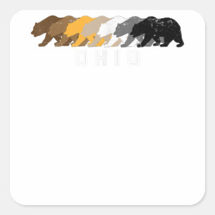 Ohio Gay Bear Distressed  Square Sticker