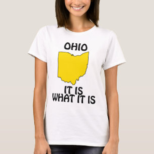 Ohio - It Is What It Is T-Shirt
