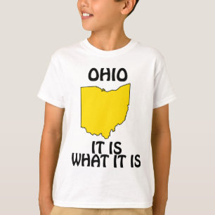 Ohio - It Is What It Is T-Shirt