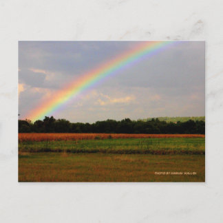 Ohio Rainbow Postcard
