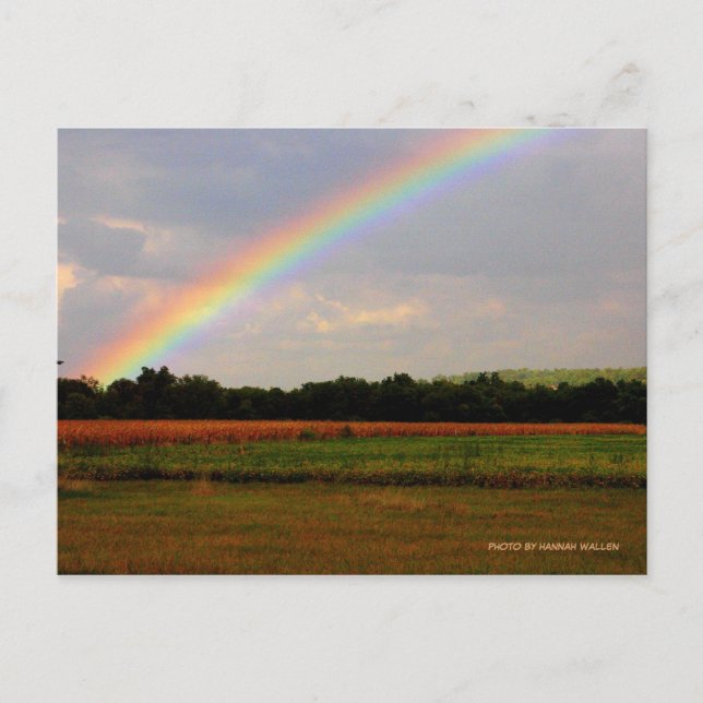 Ohio Rainbow Postcard (Front)