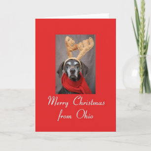 Ohio reindeer pointer merry x-mas holiday card