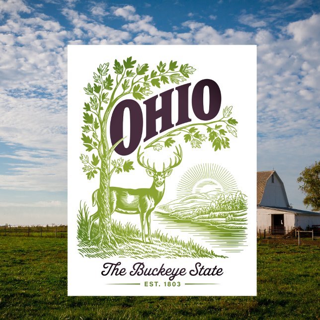Ohio The Buckeye State Est. 1803 Travel Postcard (Ohio )