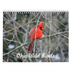 Ohio Wild Birds Calendar