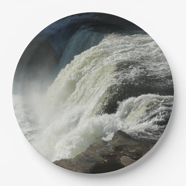 Ohiopyle Falls in Pennsylvania Paper Plate (Front)