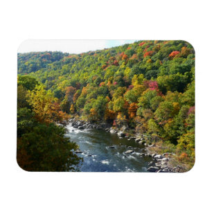 Ohiopyle River in Fall II Pennsylvania Autumn Magnet