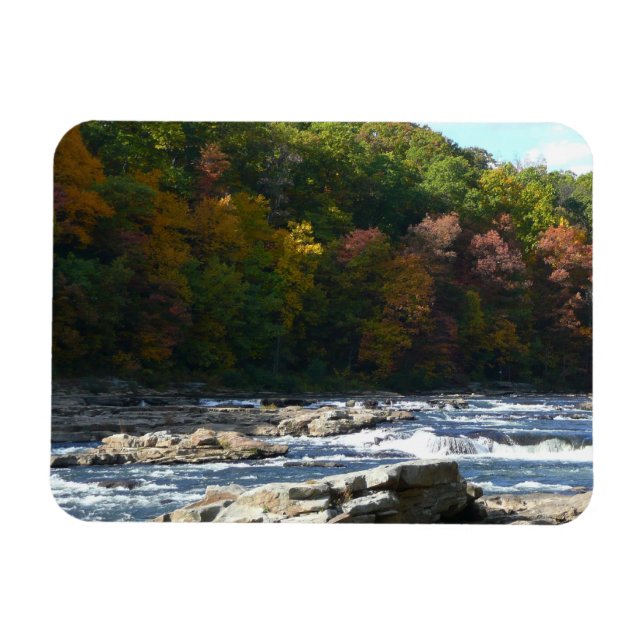 Ohiopyle River Rapids in Fall Pennsylvania Autumn Magnet (Horizontal)