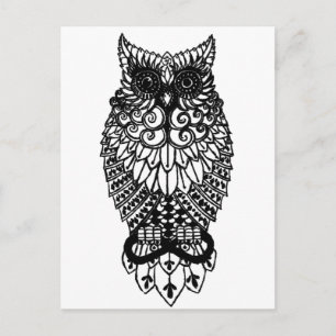 Ohm Owl Postcard