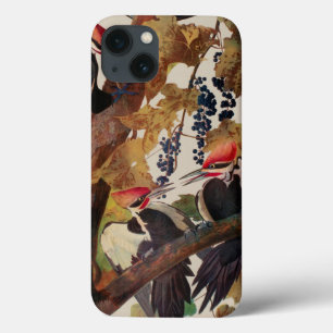 ohn James Audubon Pileated Woodpecker Bird Print iPhone 13 Case