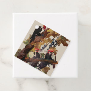 ohn James Audubon Pileated Woodpecker Bird Print Favour Tags