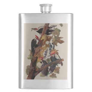 ohn James Audubon Pileated Woodpecker Bird Print Hip Flask