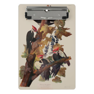 ohn James Audubon Pileated Woodpecker Bird Print Mini Clipboard